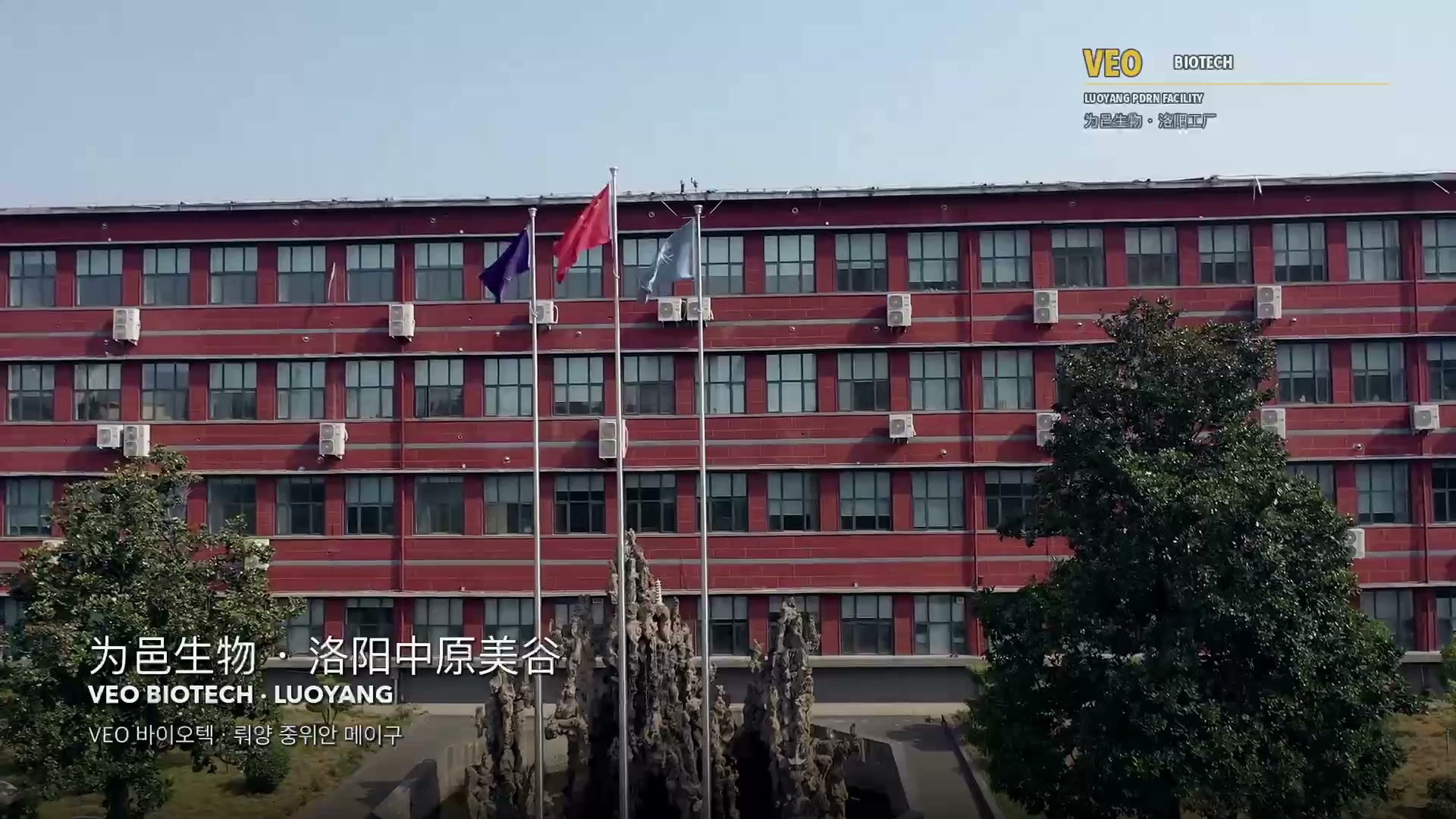 Manufacturing film